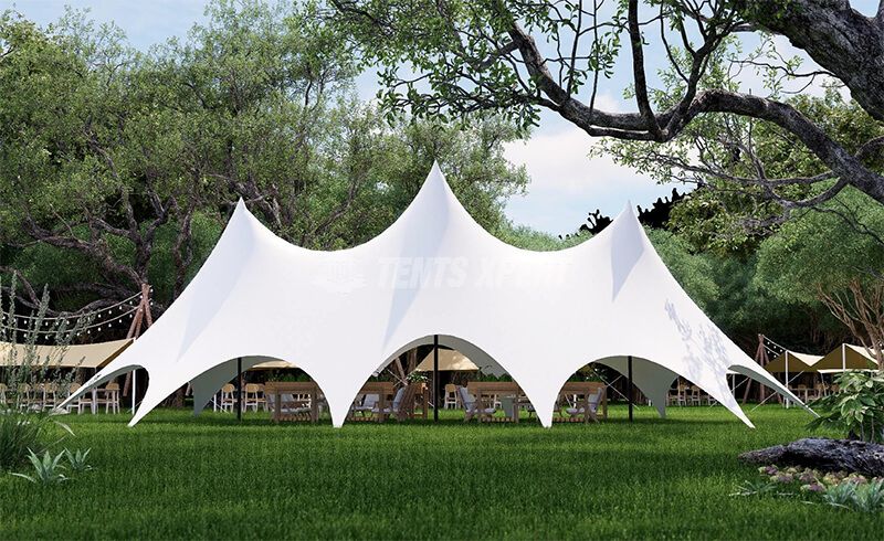 triple-peak Stretch canopy Tent