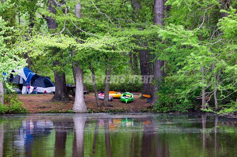 Trap Pond State Park Campground