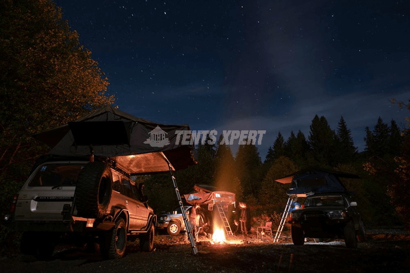 People setting camping gear near a fire in a forest