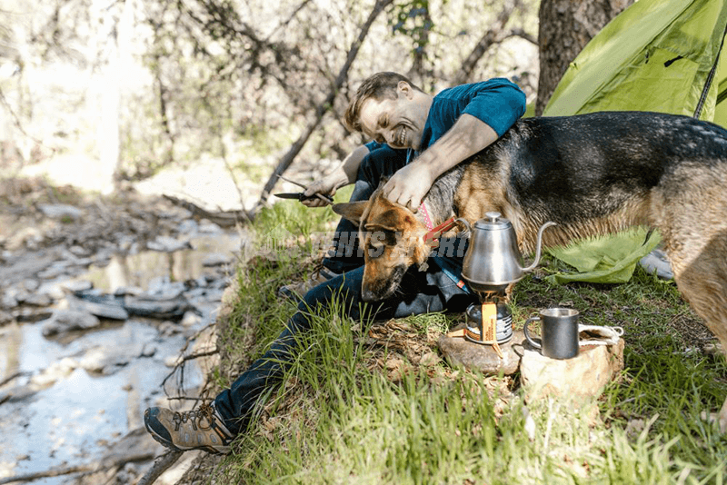 A man making tea and playing with his dog